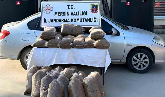 Mersin’de 310 kilo kaçak tütün ele geçirildi