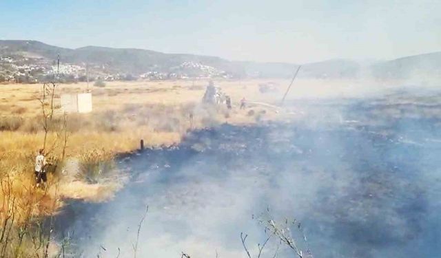 Milas Boğaziçi Mahallesinde otluk yangını