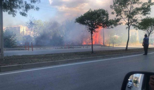 Samsun’da otluk alanda korkutan yangın