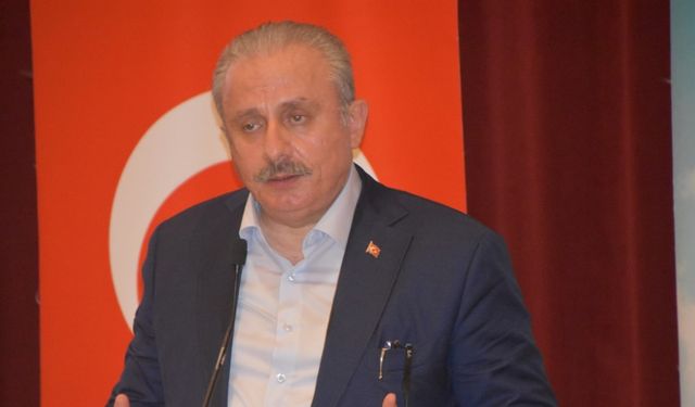 Şentop: "Milletimiz 15 Temmuz’da devlete ve siyasete sahip çıktı"