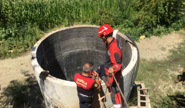 Serinlemek için girdiği su kuyusu sonu oldu