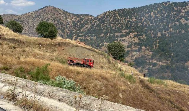 Siirt’te çıkan orman yangını kontrol altına alındı