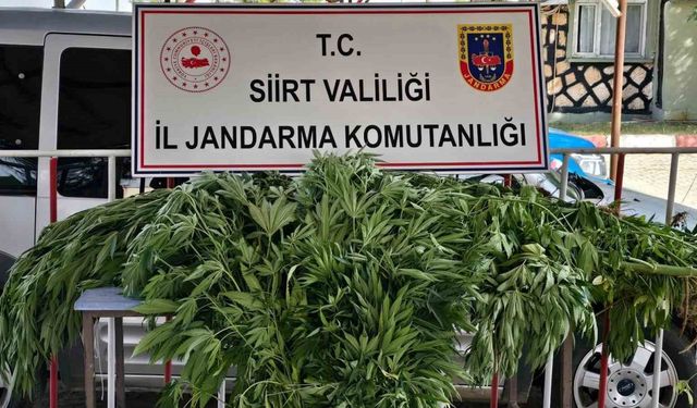 Siirt’te uyuşturucu operasyonu