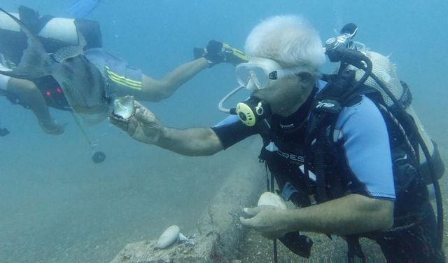 Su altında midyeyle domuz balığını besleyen profesör, ani saldırıyla neye uğradığını şaşırdı