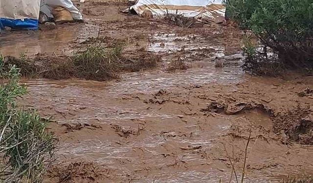 Tunceli’de sağanak nedeni ile yaylacıların çadırlarını su bastı