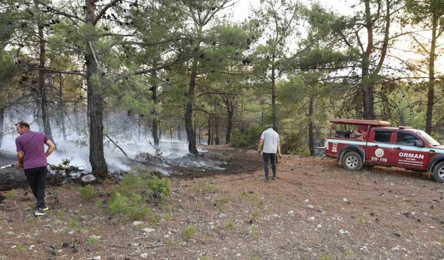 Uşak’ta ormanlık alanda çıkan yangın kontrol altına alındı