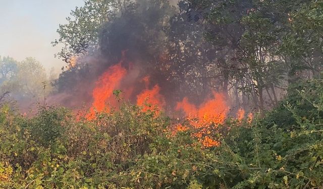 Uzunköprü’de  katı atık depolama tesisinde başlayan yangın ormanlık alana sıçradı