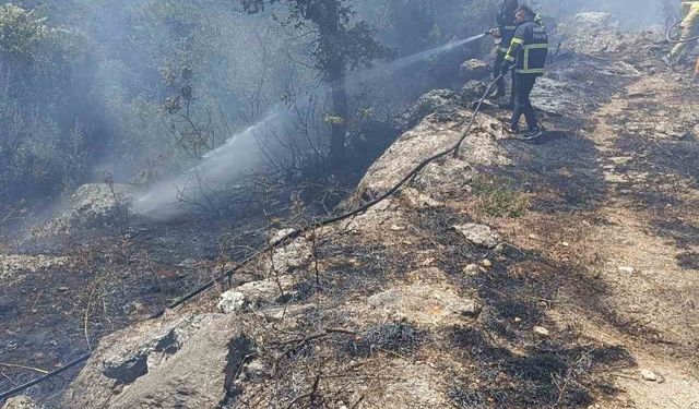 Yayladağı’nda orman yangını