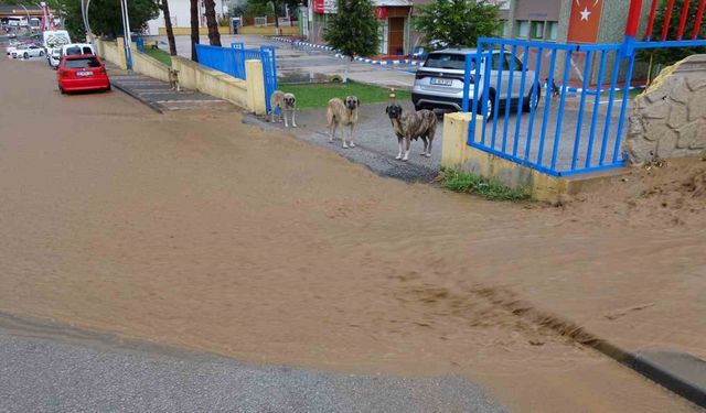 Yozgat’ta şiddetli yağış etkili oldu, ev ve iş yerleri sular altında kaldı