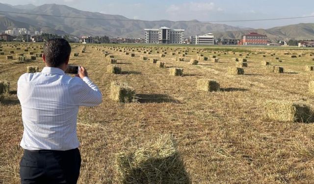 Yüksekova’da yağışlar tarımda verimliliği artırdı