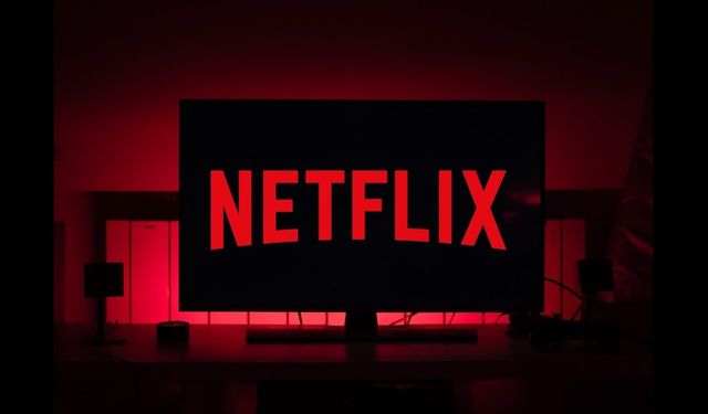 Netflix'e Vergi Kaçakçılığı Baskını Düzenlendi