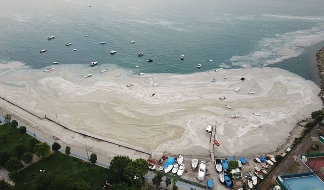 Bakanlıktan Marmara'ya Kıyı 7 Belediyeye Müsilaj Uyarısı