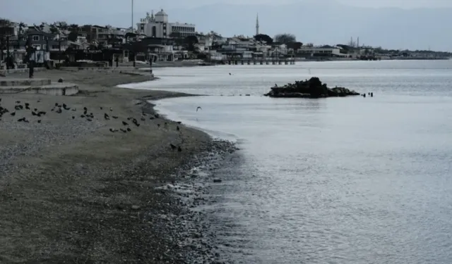 Ayvalık Sahilinde Gizemli Geri Çekilme: Deniz 15 Metre Geriye Gitti