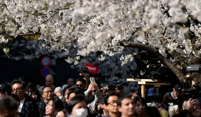 Manga Kehaneti Japonya Turizmini Vurdu: Deprem Korkusu Tatil Planlarını Bozdu
