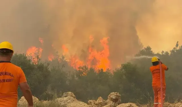 Alevler Antalya'yı Sardı: Üç İlçede Orman Yangını Paniği