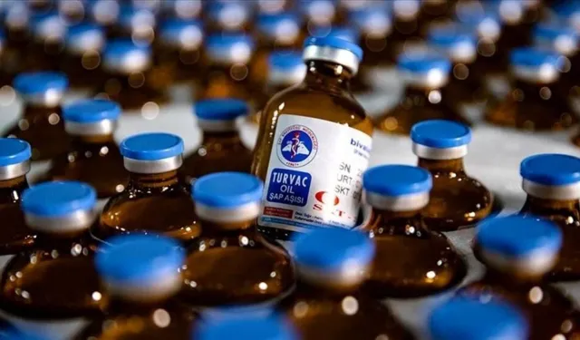 Hayvan Pazarları Kapatıldı: Şap Hastalığıyla İlgili Merak Edilenler