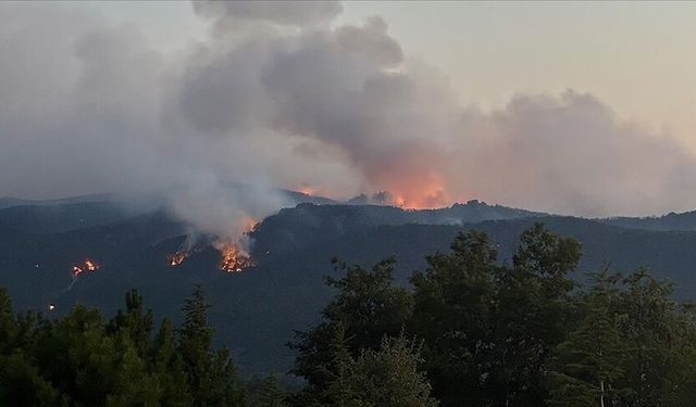 Yangın Cephesinde Şehadet: Eskişehir'de 10 Can Alevlere Karşı Mücadelede Kaybedildi