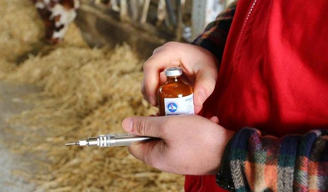 Keneden Korkma, Geç Kalmaktan Kork: TVHB Başkanı'ndan KKKA ve Şap Uyarısı