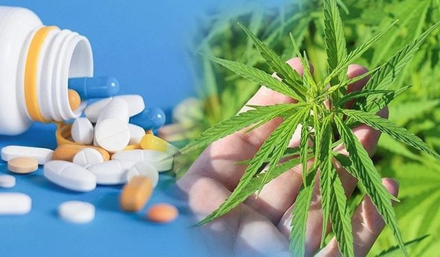 Artık Eczanelerde: Tıbbi Kenevir Yasallaştı, Tedavide Yeni Dönem Başladı