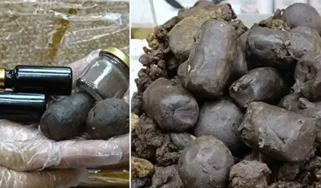 Siirt’in Şifalı Hazinesi: Gramı Altından Pahalı Propolis Yoğun İlgi Görüyor