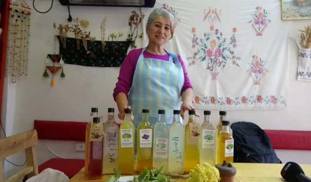 Tunceli'nin Dağlarından Gelen Şifa: Doğal Sirkelerle Sağlığa Yolculuk