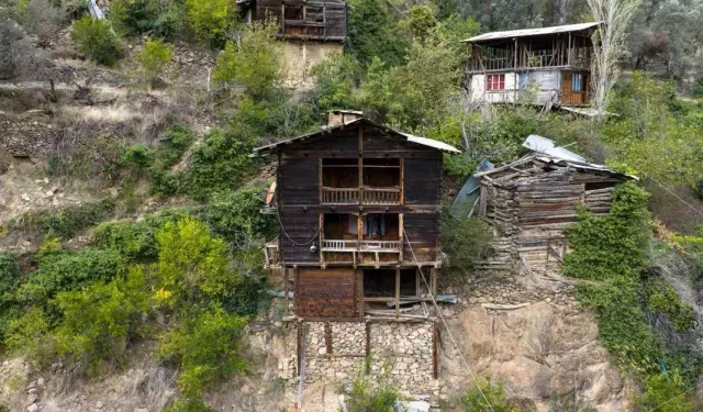 Sırtlarında Taş Taşıyarak Yaptılar: Artvin’in Patika Evlerinde Yüzyıllık Zeytin Mirası