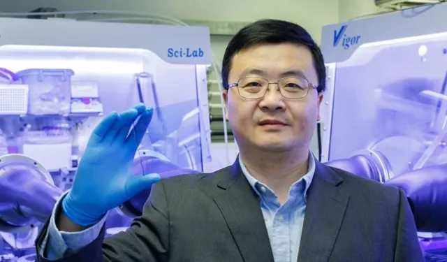 Şeffaf Enerjide Yeni Dönem: Hong Konglu Bilim İnsanları Yarı Saydam Güneş Panelinde Rekor Kırdı