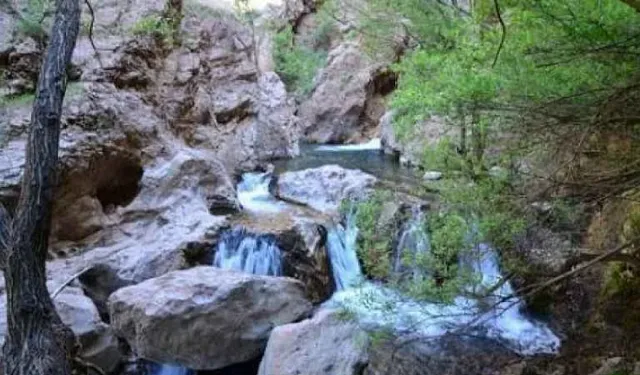 Yarım Asırlık Su Paylaşımı Krize Dönüştü: Erkenek’in Suyu Neden Kurudu?