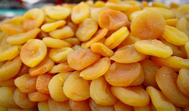 Malatya’nın “Altın Mişmişi” Dünya Sofralarını Tatlandırıyor: 47 Yılda 8 Milyar Dolarlık Başarı Hikayesi