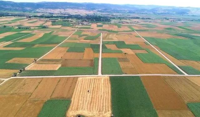 Toprağa Yatırım Yapan Kaybetti: Arsa ve Tarla Getirisi Hayal Kırıklığı Yarattı