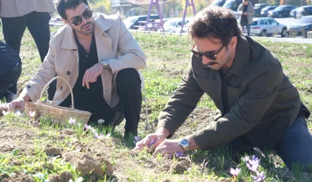 Ünlü İsimlerden Safranbolu’da Anlamlı Buluşma: İmeceyle Safran Hasadı