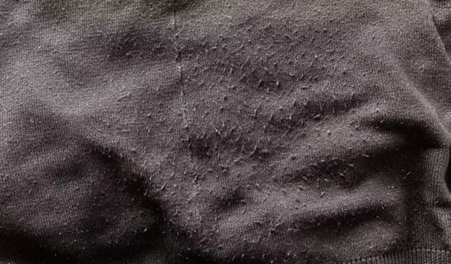 Kışlık Kazaklar Yeniden Parlıyor! Tiftik Sorununa Evde Pratik Çözümler