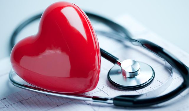 Organ Saklamada Yeni Ufuklar: Kırılmadan Dondurulan Yapılar Tıp Dünyasında Umut Oldu