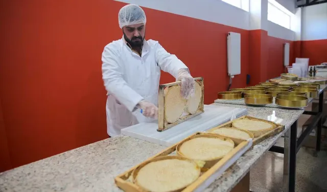 Van’dan Dünya Pazarına Bal Yolculuğu: Devlet Desteğiyle Kurulan Tesis Dubai’ye Açıldı