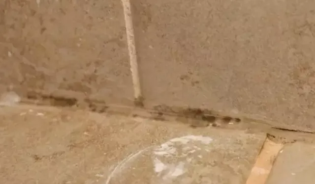 Evdeki Silikon Kararmalarına Doğal ve Etkili Çözüm Yöntemleri