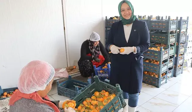 Adanalı Kadın Girişimci, Hurmayla Başlayan Yolculuğunu İhracat Başarısına Taşıdı