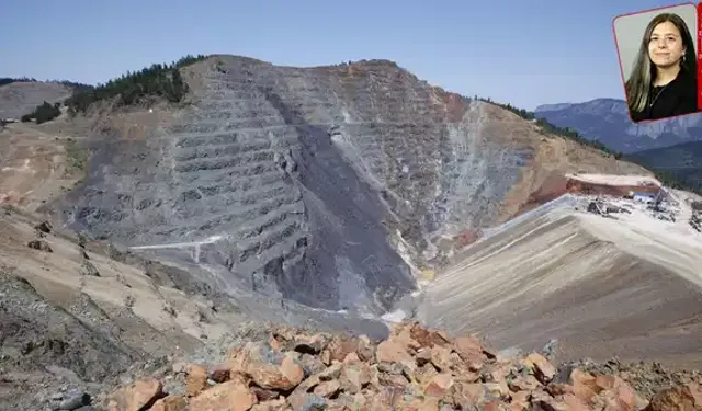 Sinop’ta Bakır Madeni Alarmı: Boyabat’ta Yüz Binlerce Ağaç İçin Kritik Süreç