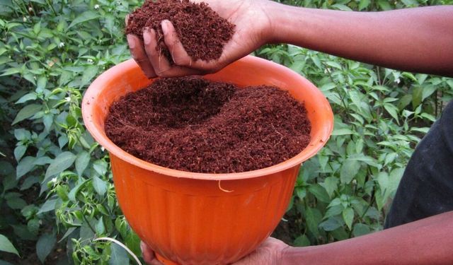 Evde Hazırlanan Doğal Karışım Bitkilerde Güçlü Etki Gösteriyor