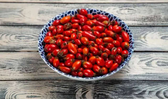 Anadolu’nun Şifalı Kırmızıları: Karamuk Meyvesi Mercek Altında