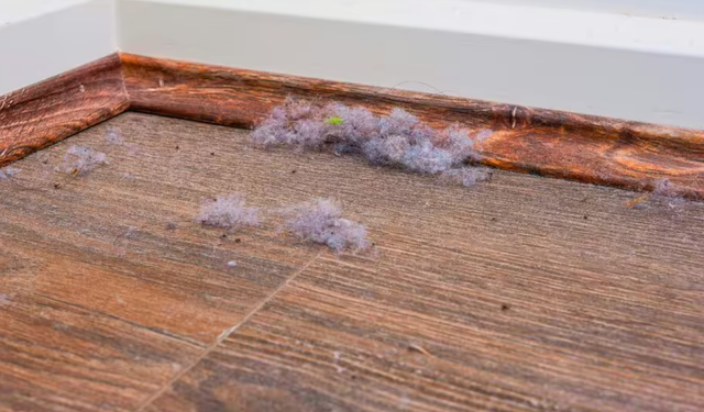 Süpürgeliklerde Toz Derdine Son: Uzmanlardan Evdeki Malzemeyle Kalıcı Çözüm