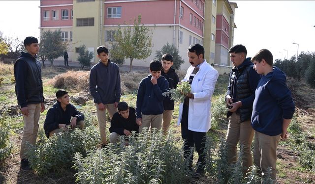 Şanlıurfa’da Genç Çiftçiler Yetişiyor: Öğrenciler Alternatif Tarımın Öncüsü Oluyor