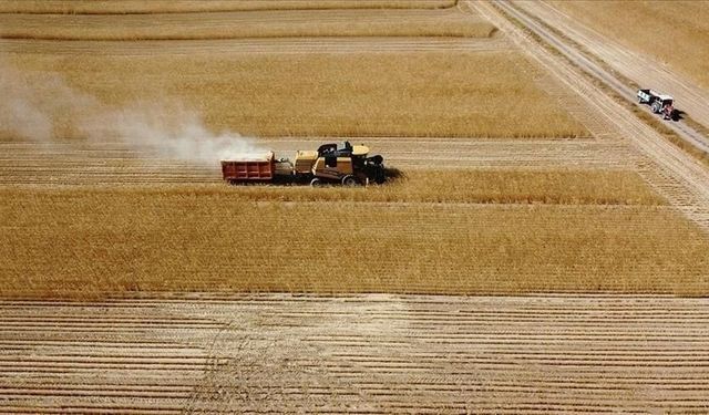 Tarımda Dev Destek: Milyarlarca Lira Çiftçinin Hesabına Aktarıldı
