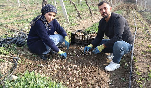 Tekstilden Toprağa Uzanan Yol: Adanalı Girişimci Ak Zambakla Dünyaya Açılıyor