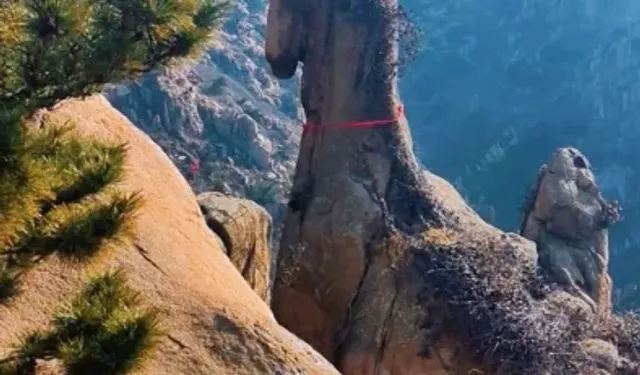 At Yılı Öncesi Doğanın Sürprizi: Qingdao’daki Kaya Turizmi Hareketlendirdi