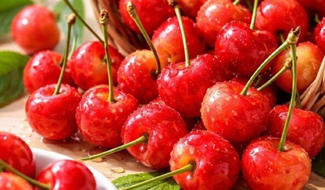 Japonya’da Bir Kiraz Altın Değerine Ulaştı: İlk Hasatta Tarihi Satış