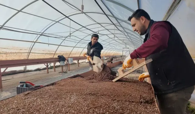 AKILLI TARIMDAN ATA TOHUMUNA: ŞANLIURFA’DA TARIMDA DÖNÜŞÜM HAMLESİ