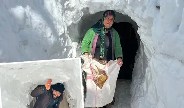 Çatak’ta Kışa Direnmenin Yolu: Kar Tünelleriyle Hayat Devam Ediyor