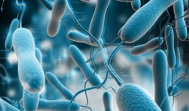 Ölümcül Salgın Durmuyor: Kolera Mozambik’te Alarm Veriyor