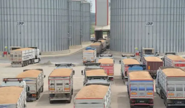 Atıl Depolar, Kiralık Silolar ve Kayıp Milyonlar: TMO’da Depolama Krizi Derinleşti