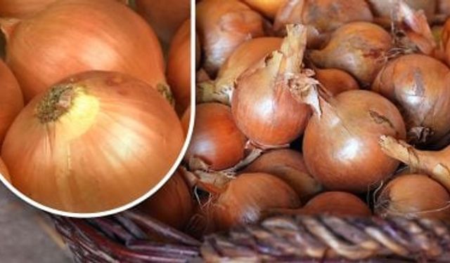 Soğanı Aylarca Taze Tutan Yöntem: Bahçıvandan Evde Saklama Rehberi
